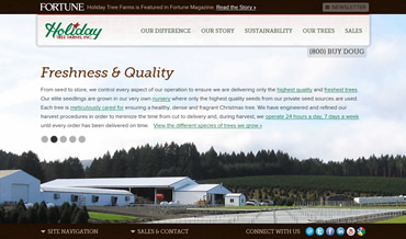 Holiday Tree Farms Case StudY