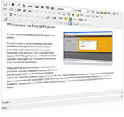 Content Management System Editor